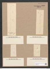 Pleurosigma tenuissimum W.Sm. (de-Toni-Nr.: Genus 13, Species 1091) Zeichnungen Sammlung Grunow Nr. 2125 (NHMW-BOT-W0369159)